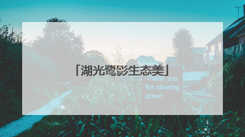 湖光鹭影生态美