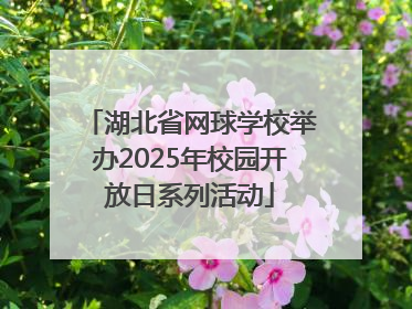 湖北省网球学校举办2025年校园开放日系列活动