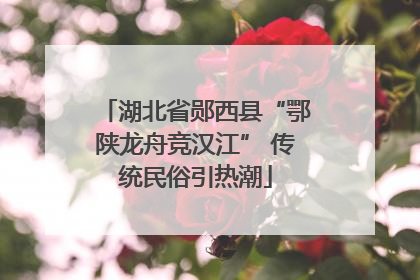 湖北省郧西县“鄂陕龙舟竞汉江” 传统民俗引热潮