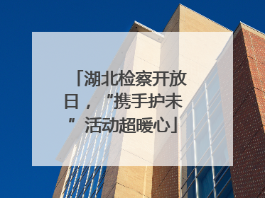 湖北检察开放日，“携手护未”活动超暖心