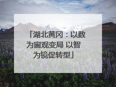 湖北黄冈：以数为窗观变局 以智为镜促转型