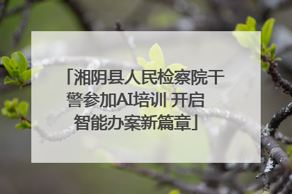 湘阴县人民检察院干警参加AI培训 开启智能办案新篇章