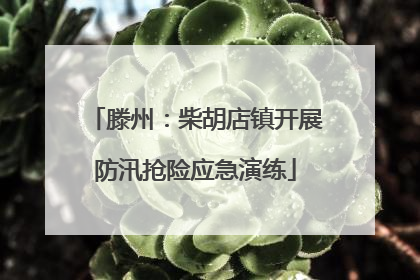 滕州：柴胡店镇开展防汛抢险应急演练