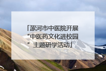 漯河市中医院开展“中医药文化进校园”主题研学活动