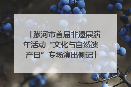 漯河市首届非遗展演年活动“文化与自然遗产日”专场演出侧记
