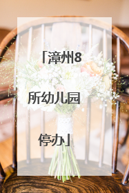 漳州8所幼儿园停办