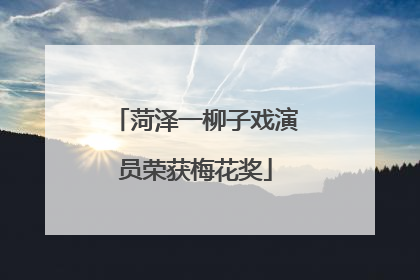 菏泽一柳子戏演员荣获梅花奖
