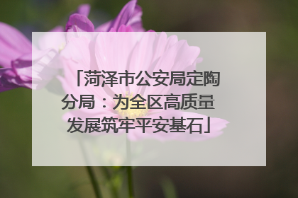 菏泽市公安局定陶分局：为全区高质量发展筑牢平安基石