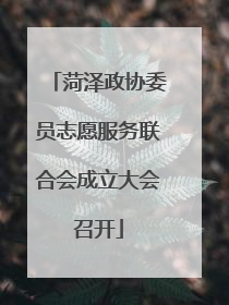 菏泽政协委员志愿服务联合会成立大会召开