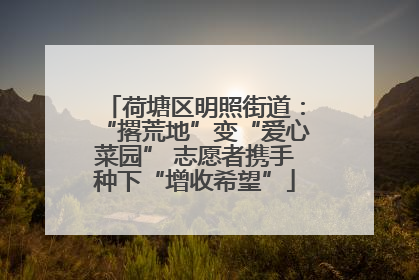 荷塘区明照街道：“撂荒地”变“爱心菜园” 志愿者携手种下“增收希望”