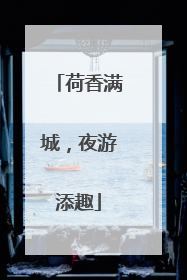 荷香满城，夜游添趣