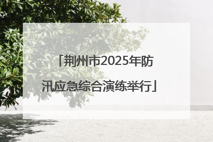 荆州市2025年防汛应急综合演练举行
