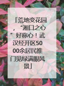 荒地变花园，“湘口之心”好称心！武汉经开区5000余居民推门见绿满眼风景