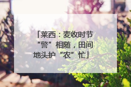 莱西：麦收时节“警”相随，田间地头护“农”忙
