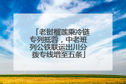 老挝榴莲乘冷链专列抵蓉，中老班列公铁联运出川分拨专线增至五条