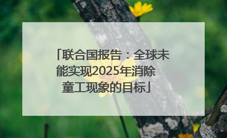 联合国报告：全球未能实现2025年消除童工现象的目标
