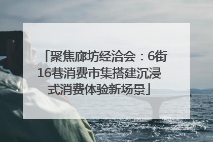 聚焦廊坊经洽会：6街16巷消费市集搭建沉浸式消费体验新场景