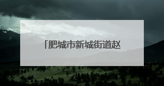 肥城市新城街道赵庄社区开展“安全生产 青年当先”安全生产月系列活动