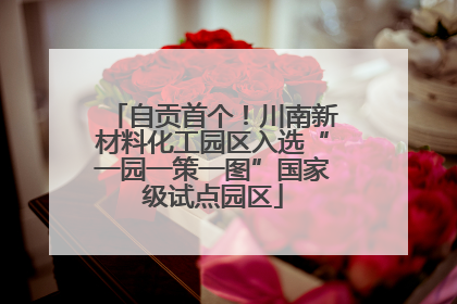 自贡首个！川南新材料化工园区入选“一园一策一图”国家级试点园区