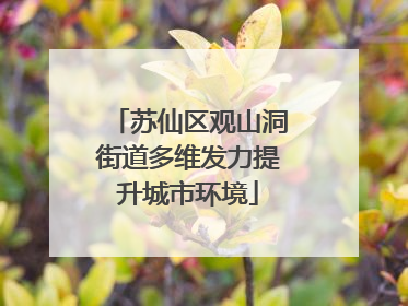 苏仙区观山洞街道多维发力提升城市环境