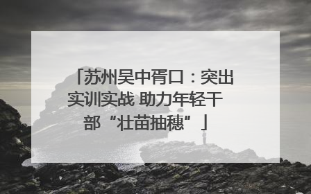苏州吴中胥口：突出实训实战 助力年轻干部“壮苗抽穗”