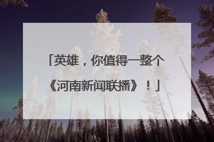英雄，你值得一整个《河南新闻联播》！