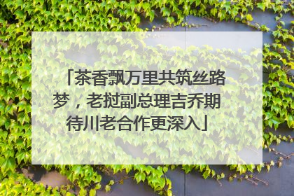 茶香飘万里共筑丝路梦，老挝副总理吉乔期待川老合作更深入