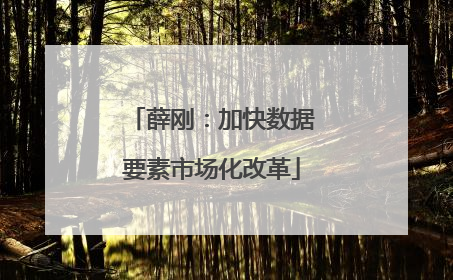 薛刚：加快数据要素市场化改革