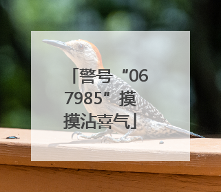 警号“067985”摸摸沾喜气