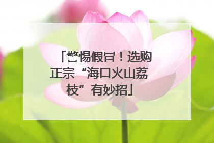 警惕假冒！选购正宗“海口火山荔枝”有妙招