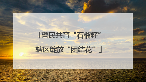 警民共育“石榴籽” 辖区绽放“团结花”
