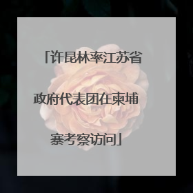 许昆林率江苏省政府代表团在柬埔寨考察访问