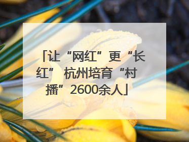 让“网红”更“长红” 杭州培育“村播”2600余人