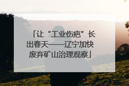 让“工业伤疤”长出春天——辽宁加快废弃矿山治理观察