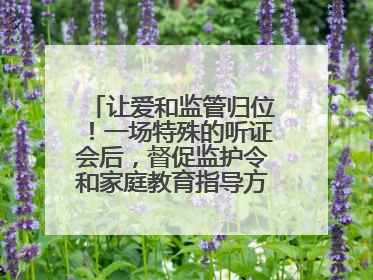 让爱和监管归位！一场特殊的听证会后，督促监护令和家庭教育指导方案同时送达