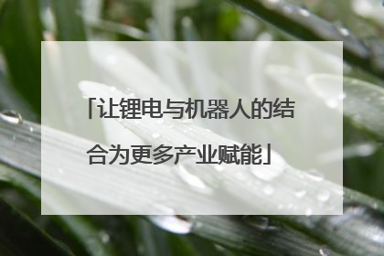 让锂电与机器人的结合为更多产业赋能