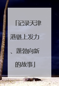 记录天津港链上发力、蓬勃向新的故事