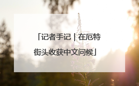 记者手记｜在厄特街头收获中文问候