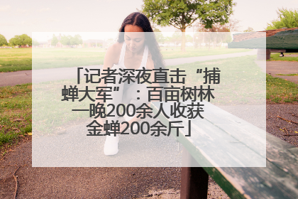 记者深夜直击“捕蝉大军”：百亩树林一晚200余人收获金蝉200余斤