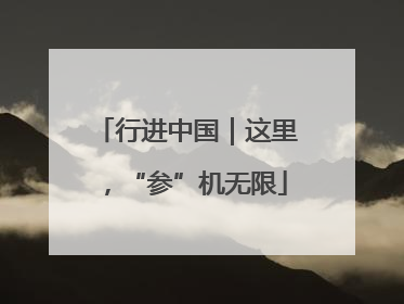 行进中国｜这里，“参”机无限