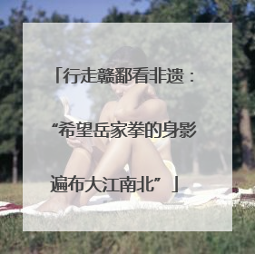 行走赣鄱看非遗：“希望岳家拳的身影遍布大江南北”