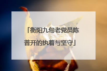 衡阳九旬老党员陈普开的执着与坚守