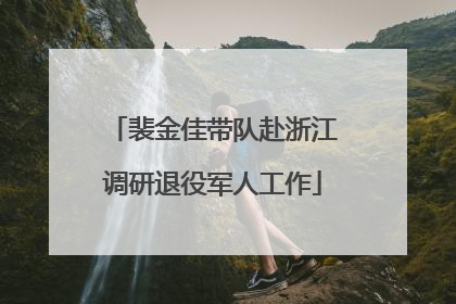 裴金佳带队赴浙江调研退役军人工作