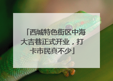 西城特色街区中海大吉巷正式开业，打卡市民真不少