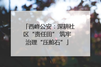 西峰公安：深耕社区“责任田” 筑牢治理“压舱石”