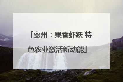 襄州：果香虾跃 特色农业激活新动能