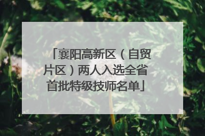襄阳高新区（自贸片区）两人入选全省首批特级技师名单