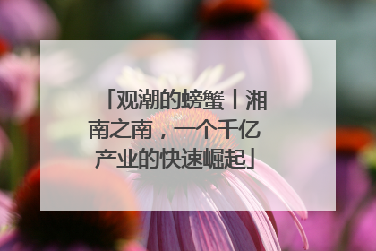 观潮的螃蟹丨湘南之南，一个千亿产业的快速崛起