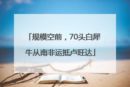 规模空前，70头白犀牛从南非运抵卢旺达