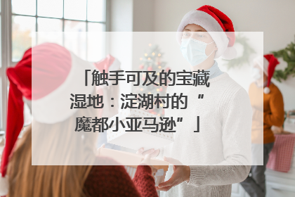 触手可及的宝藏湿地：淀湖村的“魔都小亚马逊”